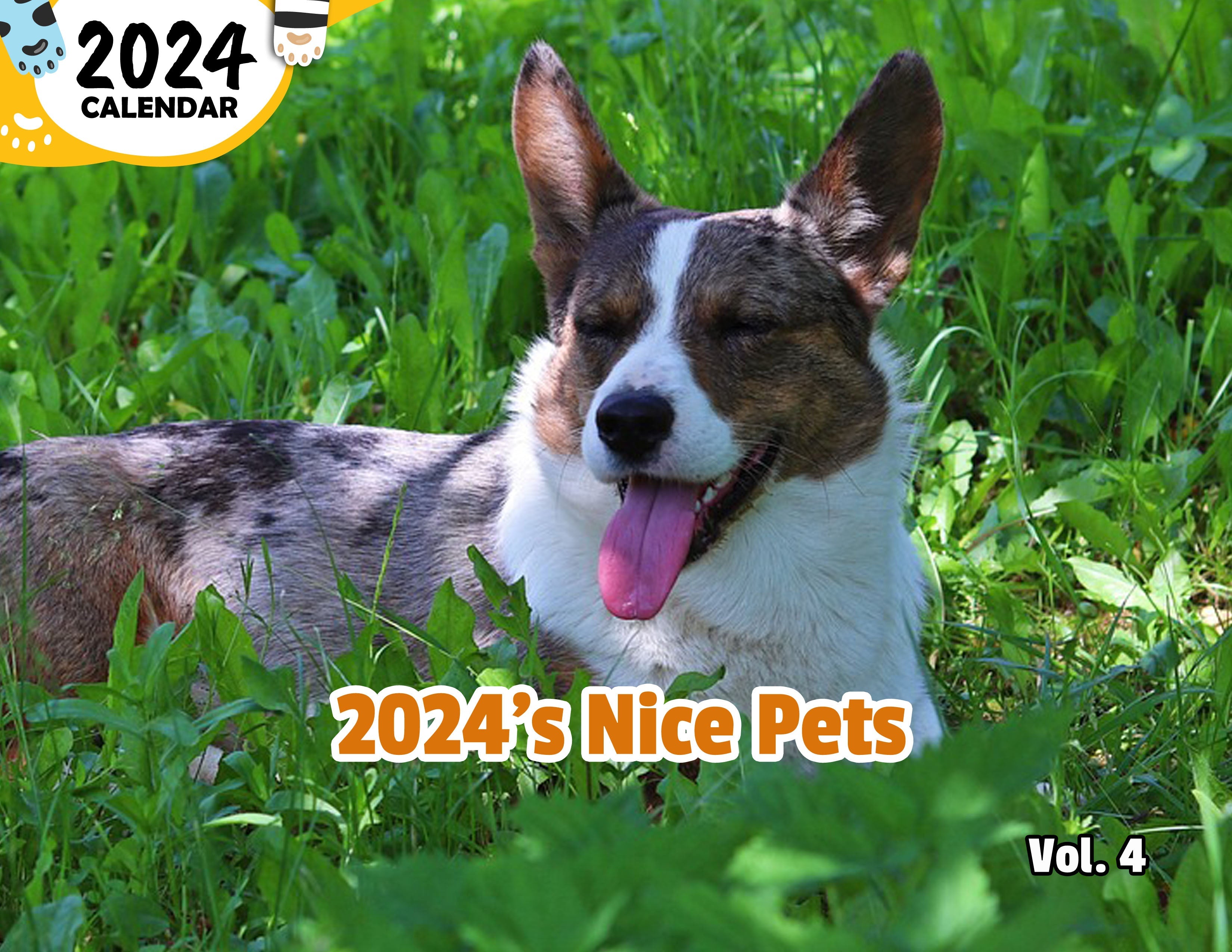 2024's Nice Pets Volume Four: 2024 Wall Calendar (Published)