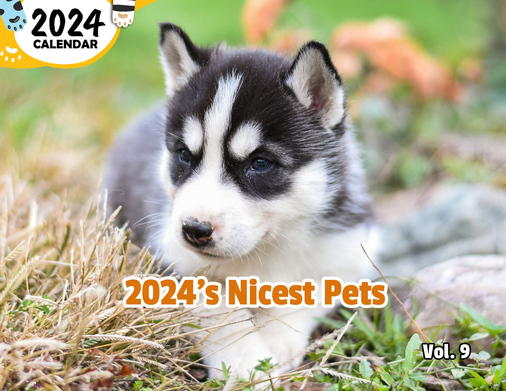 2024's Nicest Pets Volume Nine: 2024 Wall Calendar (Published)