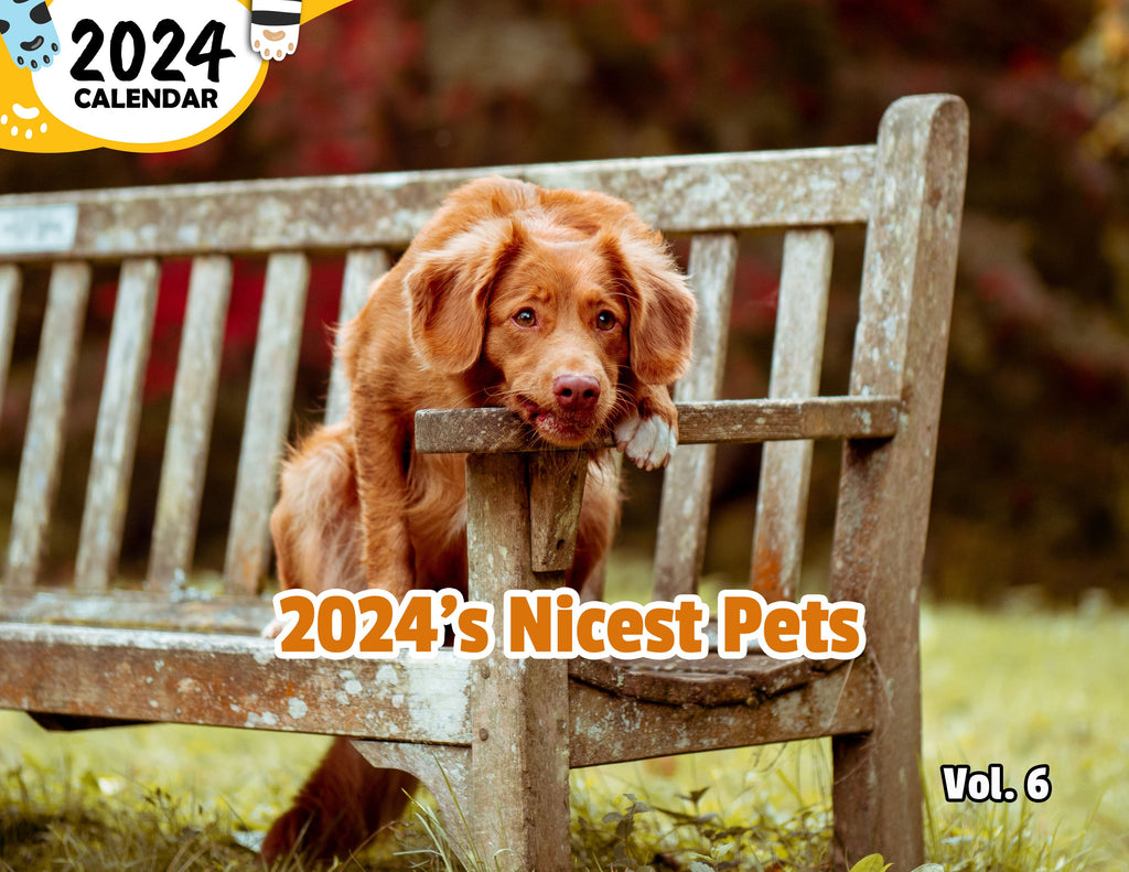 2024's Nicest Pets Volume Six: 2024 Wall Calendar (Published)