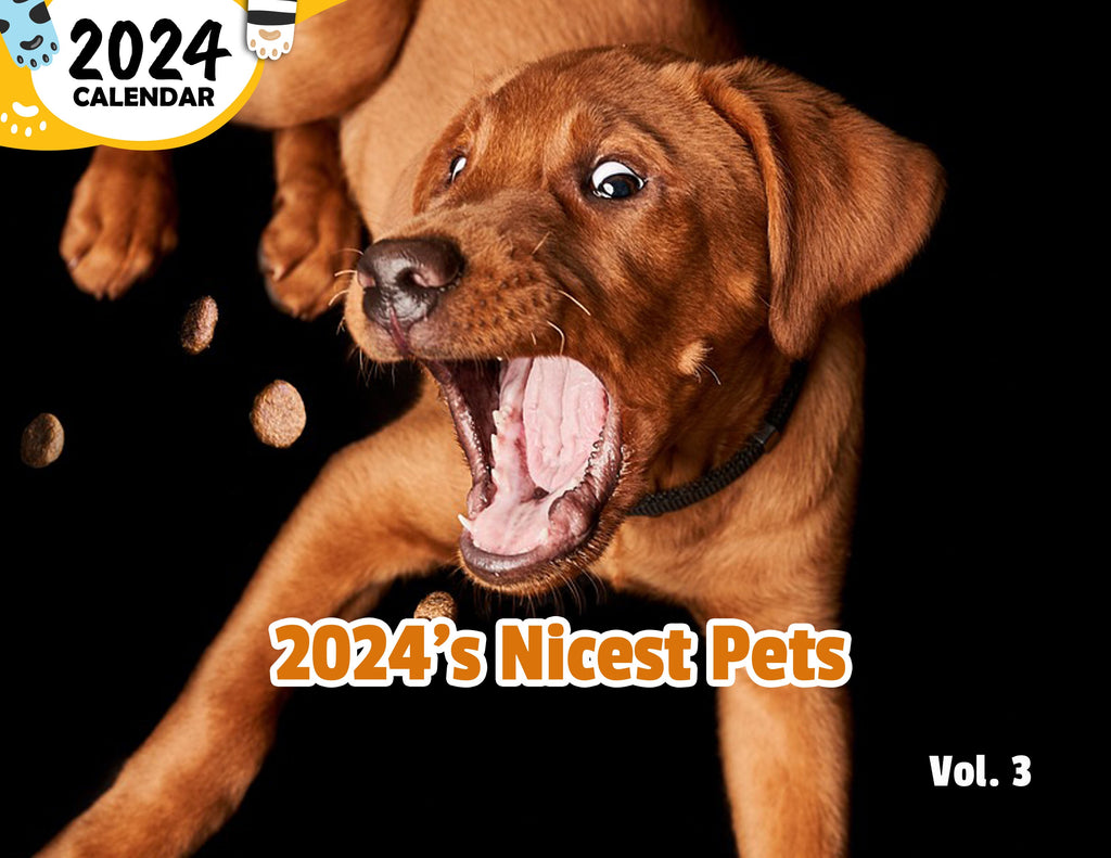 2024's Nicest Pets Volume Three: 2024 Wall Calendar (Published)
