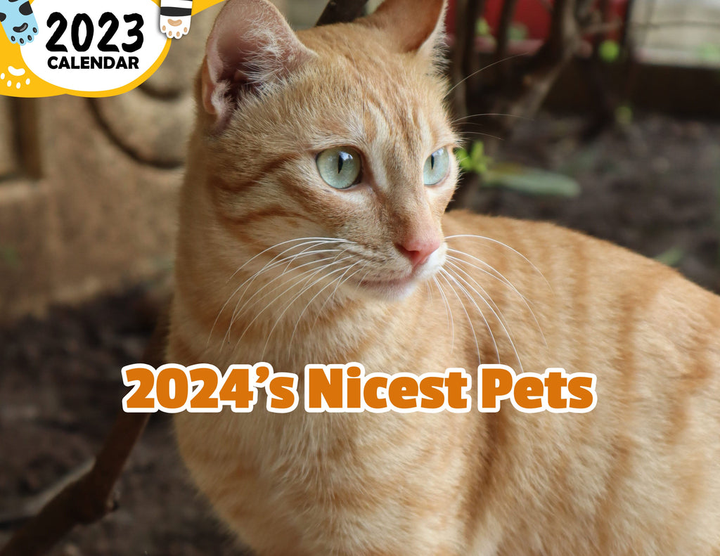 2024's Nicest Pets: 2024 Wall Calendar (Published)