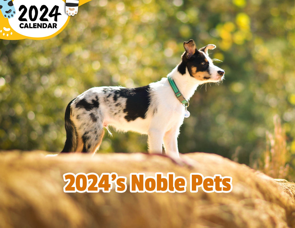 2024's Noble Pets: 2024 Wall Calendar (Published)