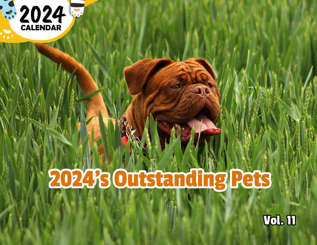 2024's Outstanding Pets Volume Eleven: 2024 Wall Calendar (Published)