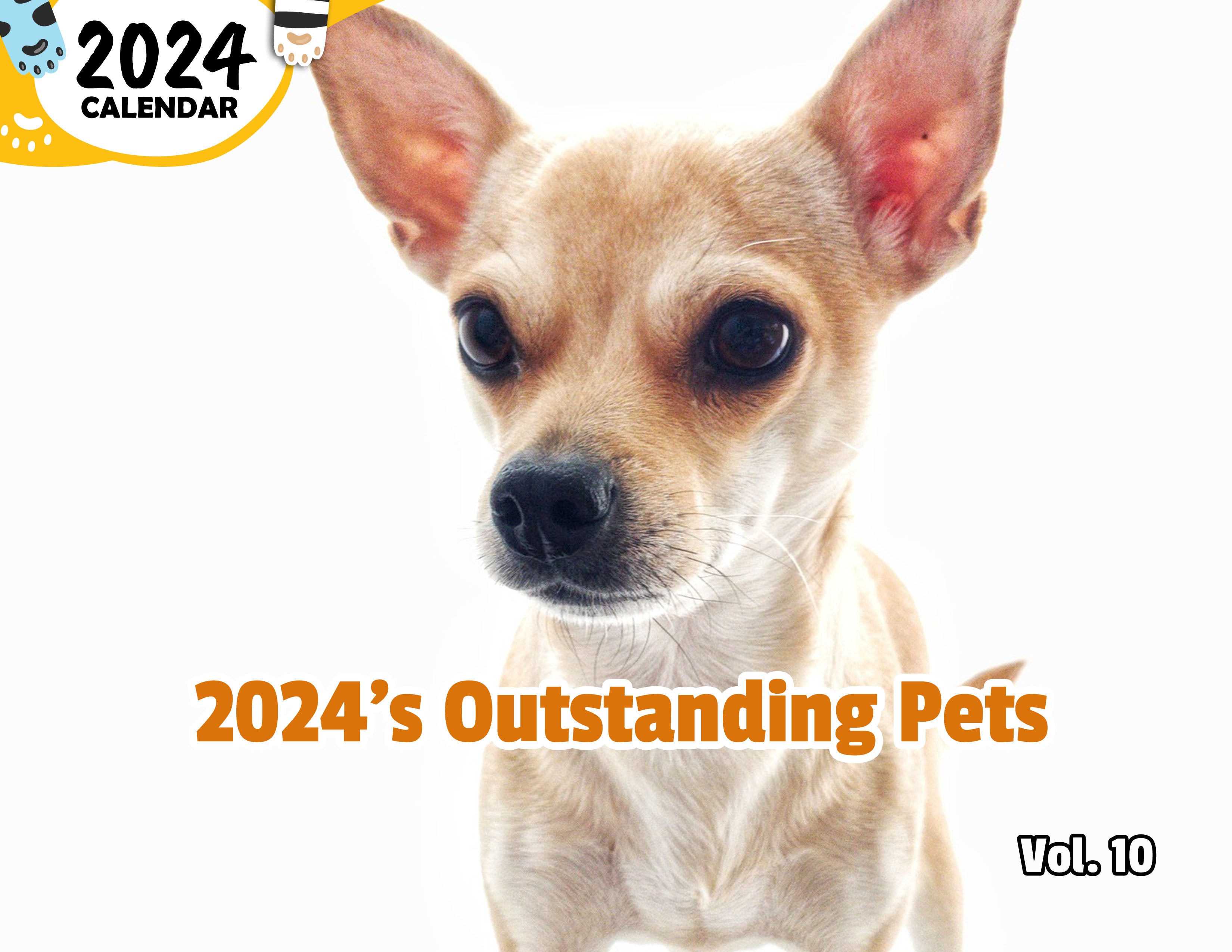 2024's Outstanding Pets Volume Ten: 2024 Wall Calendar (Published)
