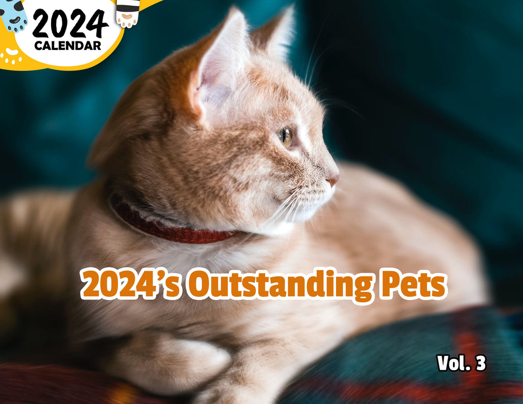 2024's Outstanding Pets Volume Three: 2024 Wall Calendar (Published)