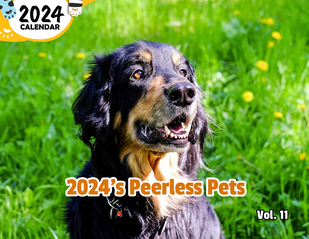 2024's Peerless Pets Volume Eleven: 2024 Wall Calendar (Published)