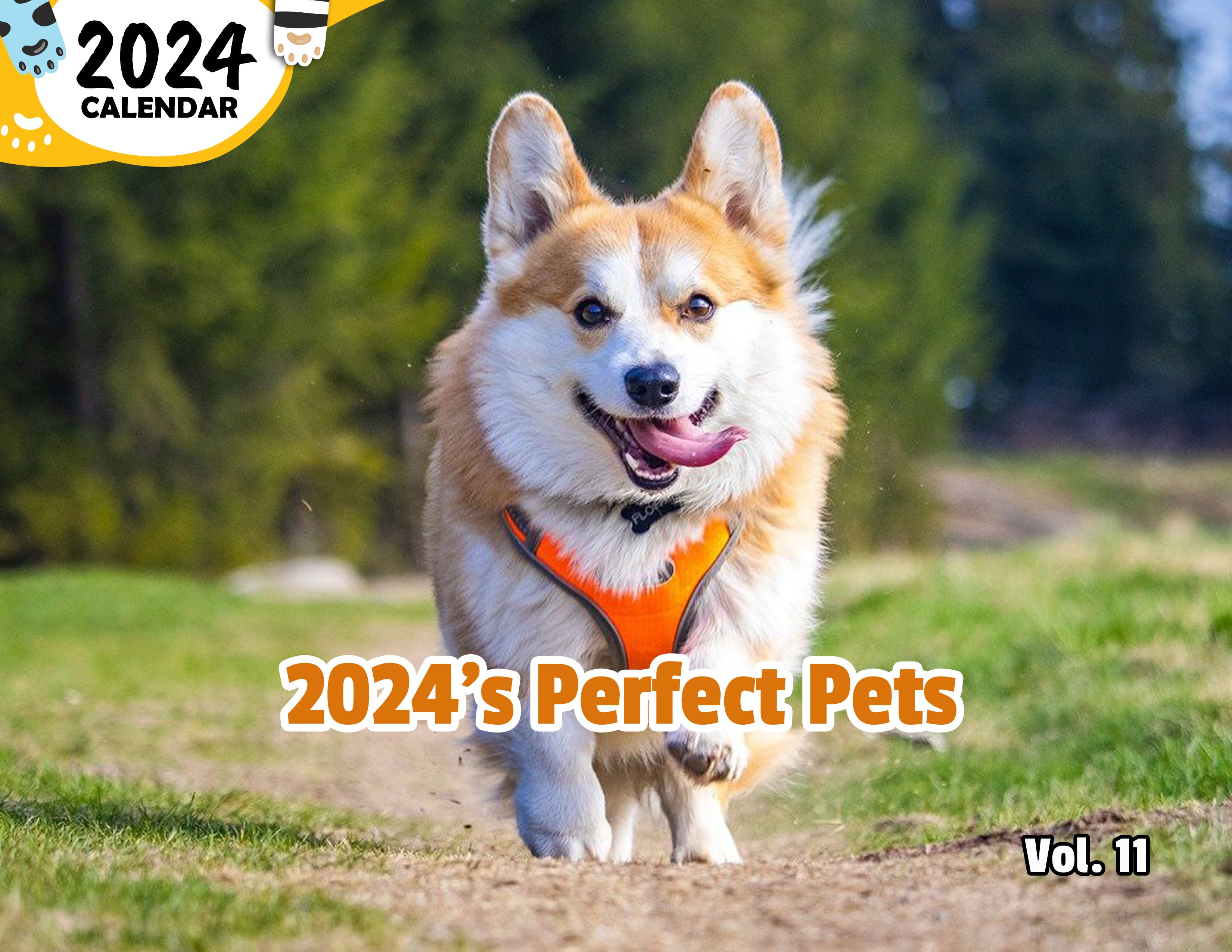 2024's Perfect Pets Volume Eleven: 2024 Wall Calendar (Published)