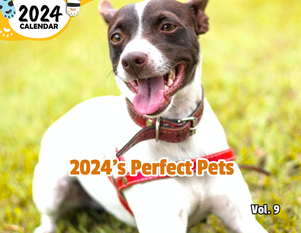 2024's Perfect Pets Volume Nine: 2024 Wall Calendar (Published)