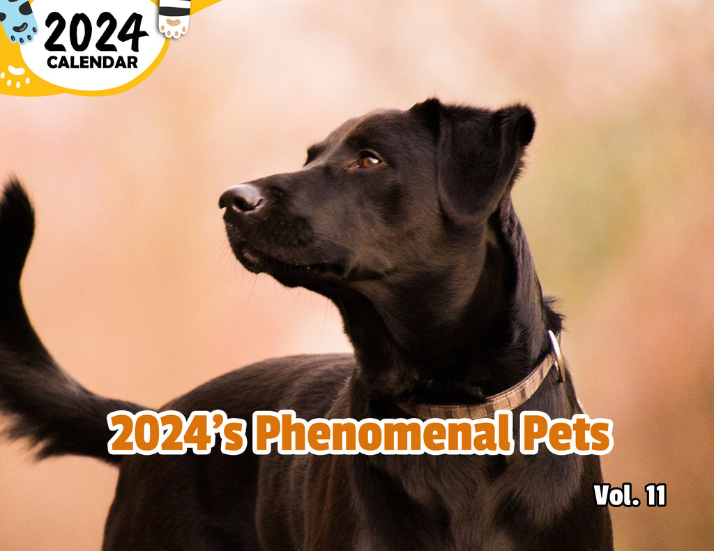 2024's Phenomenal Pets Volume Eleven: 2024 Wall Calendar (Published)
