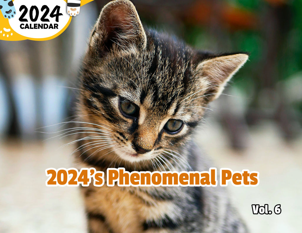 2024's Phenomenal Pets Volume Six: 2024 Wall Calendar (Published)