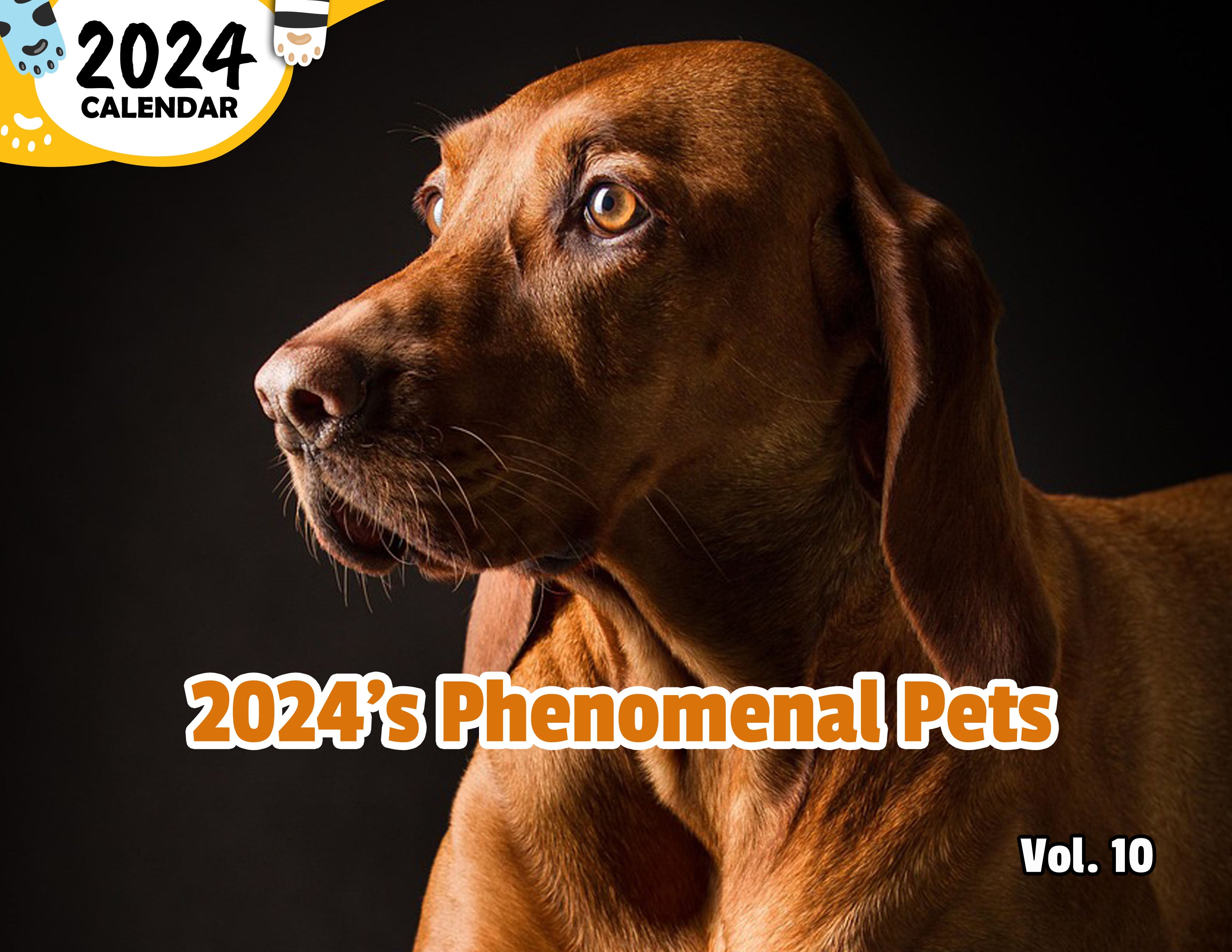 2024's Phenomenal Pets Volume Ten: 2024 Wall Calendar (Published)