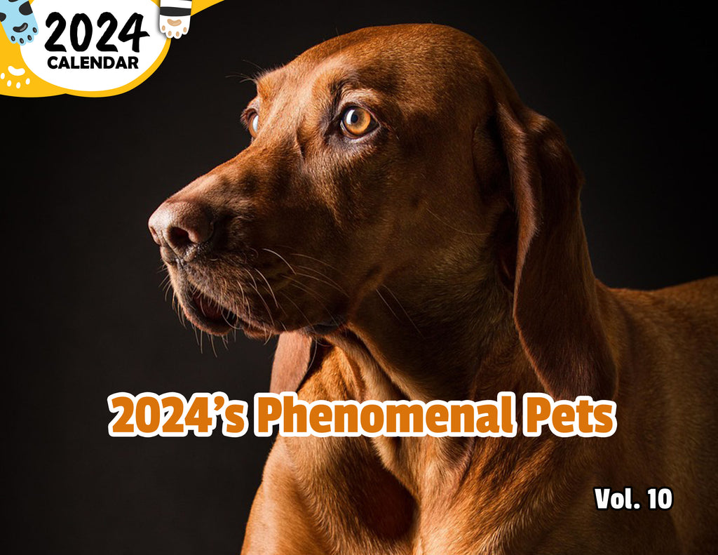 2024's Phenomenal Pets Volume Ten: 2024 Wall Calendar (Published)