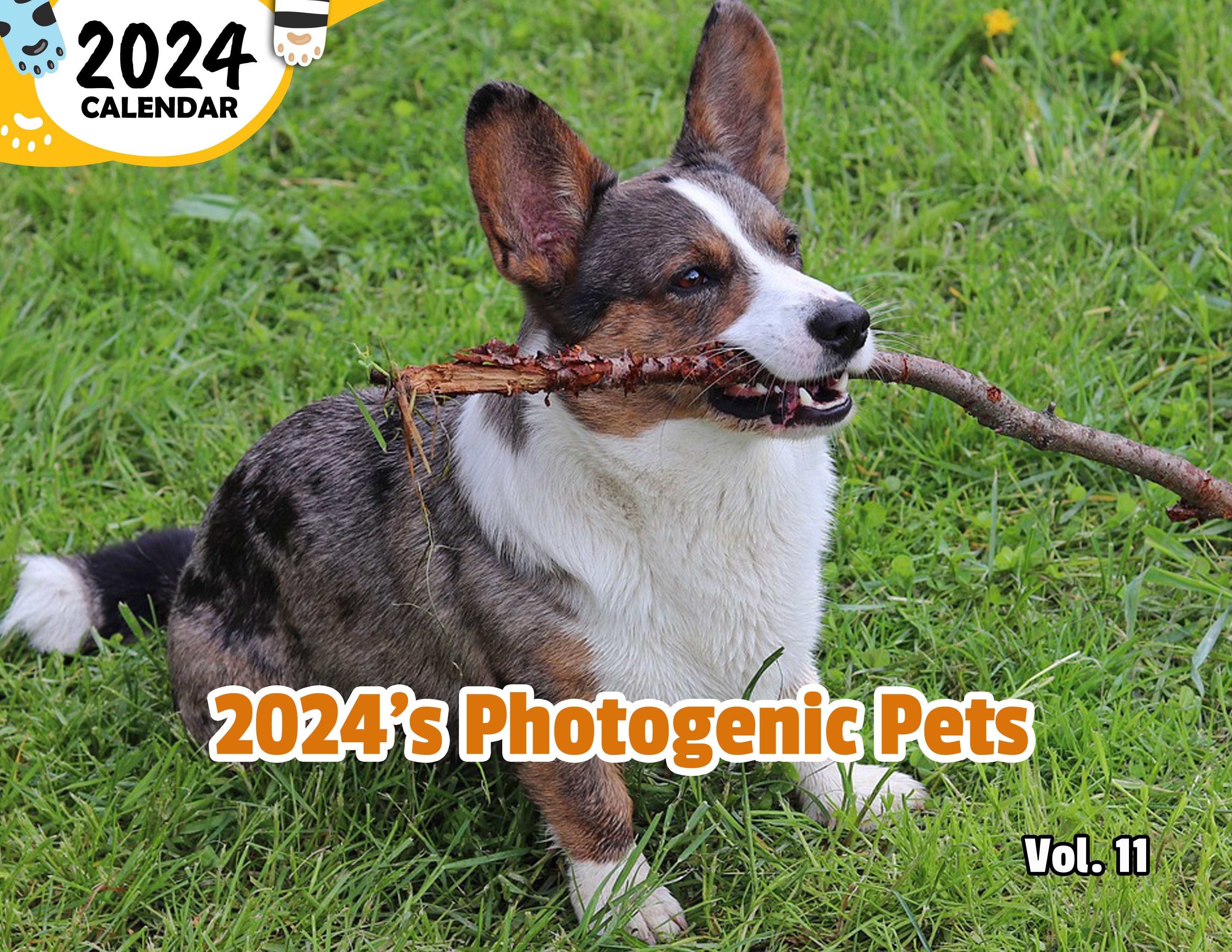 2024's Photogenic Pets Volume Eleven: 2024 Wall Calendar (Published)