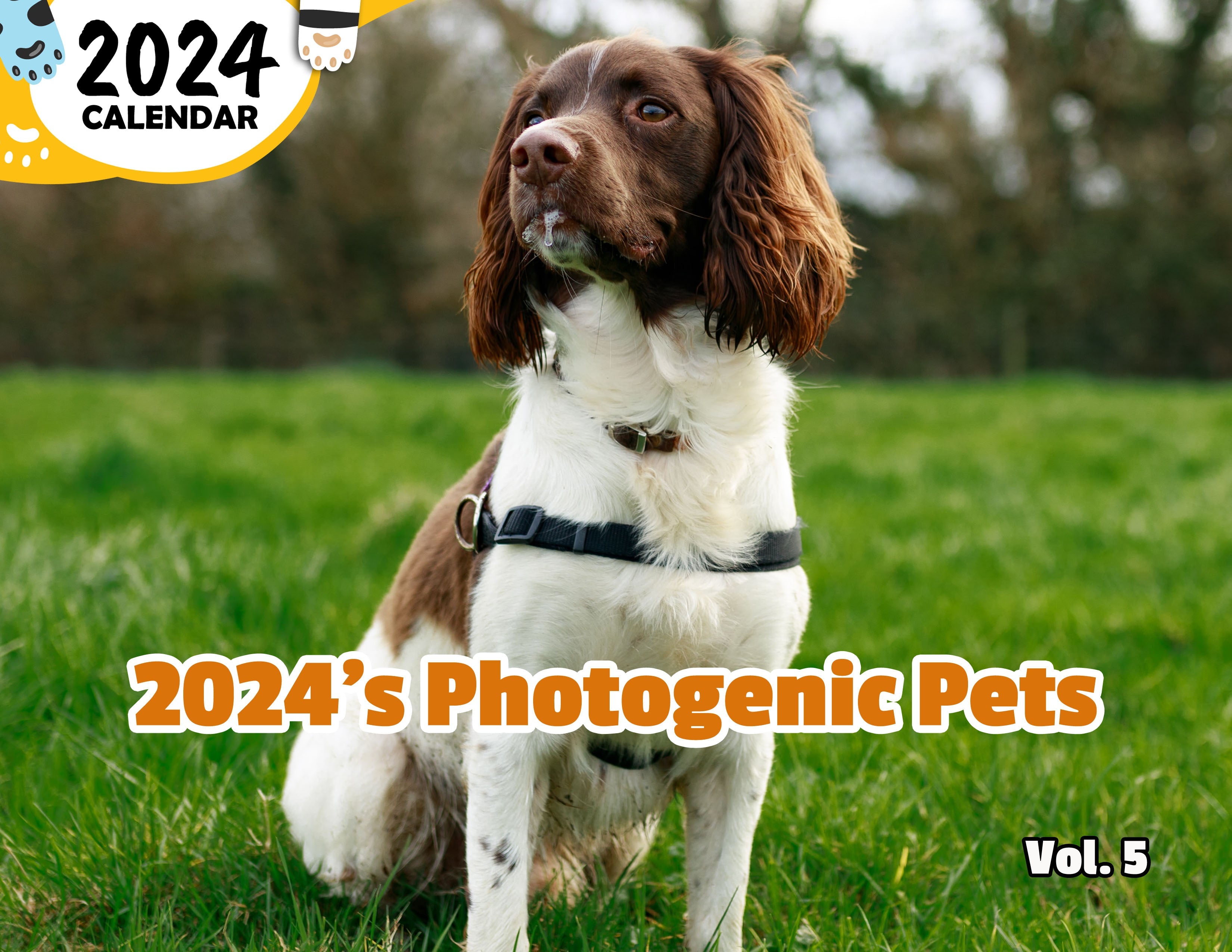 2024's Photogenic Pets Volume Five: 2024 Wall Calendar (Published)