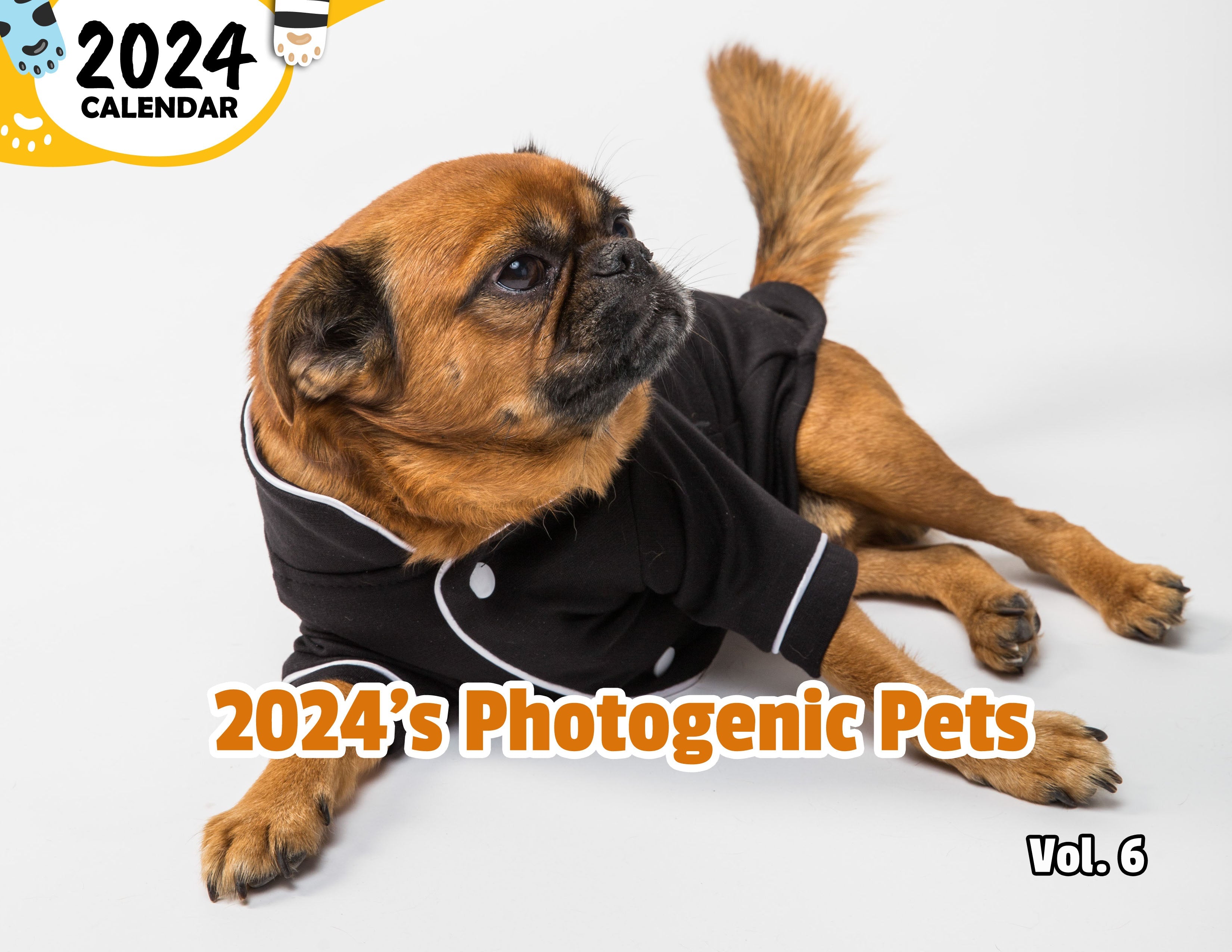 2024's Photogenic Pets Volume Six: 2024 Wall Calendar (Published)
