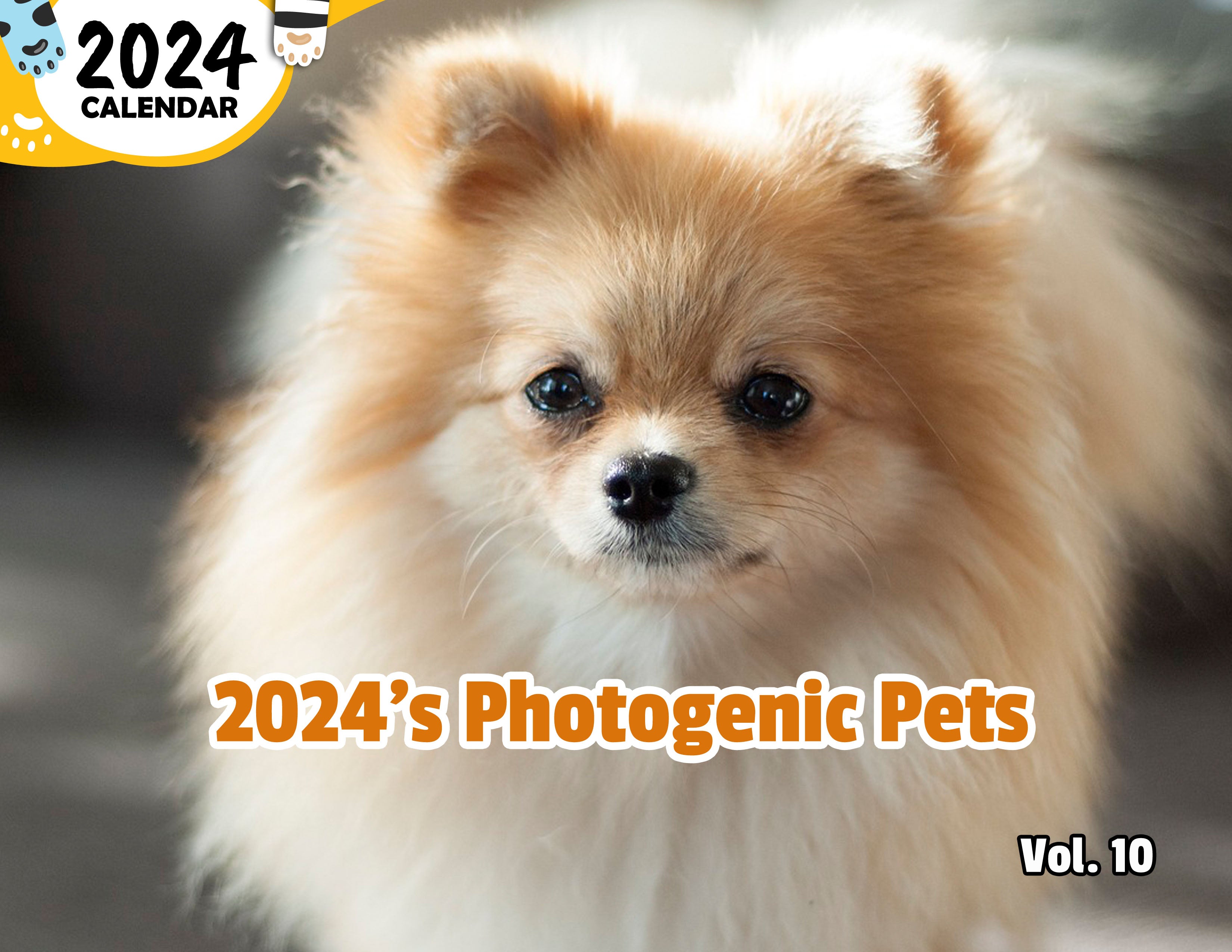 2024's Photogenic Pets Volume Ten: 2024 Wall Calendar (Published)