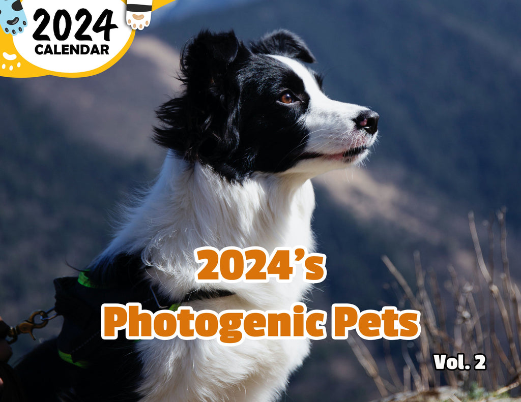 2024's Photogenic Pets Volume Two: 2024 Wall Calendar (Published)