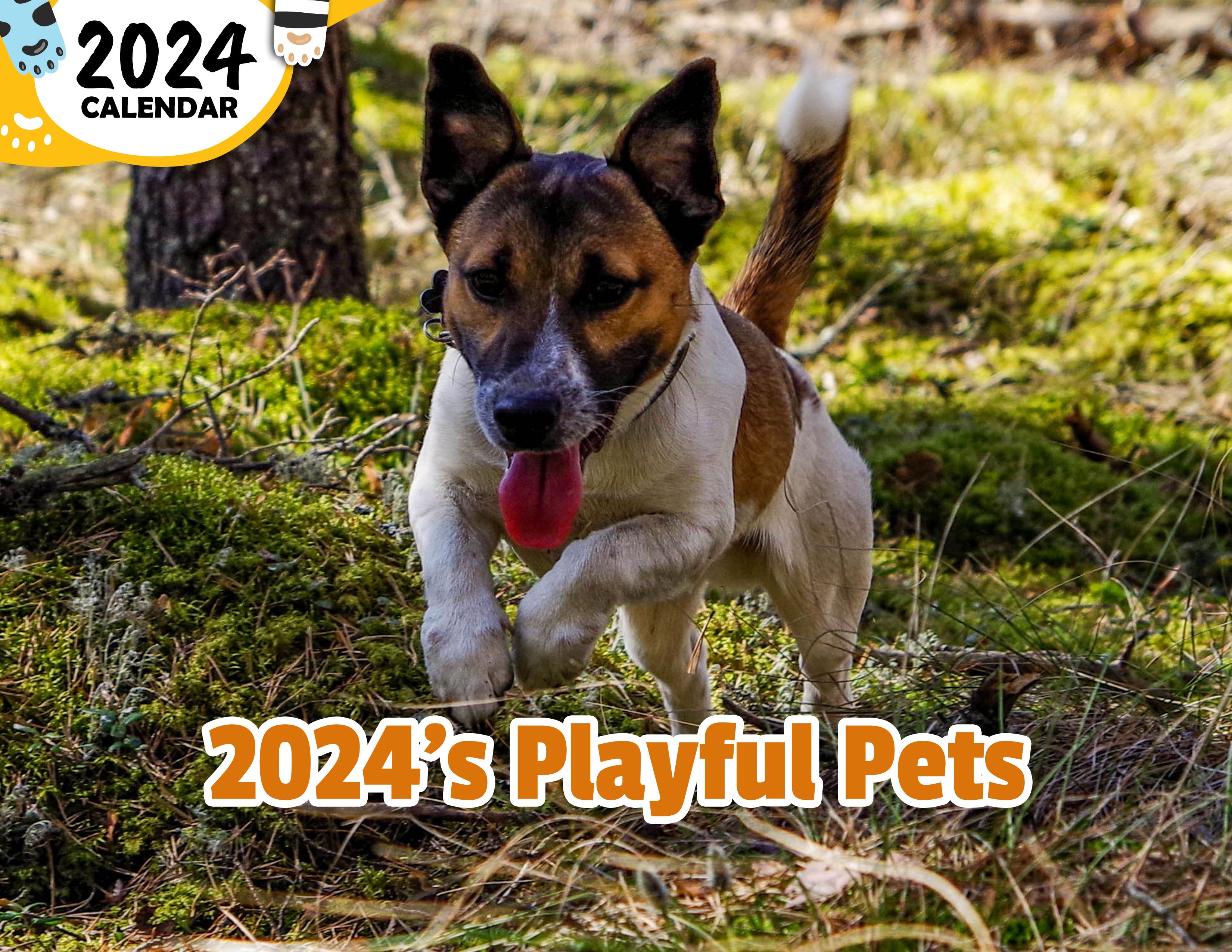 2024's Playful Pets: 2024 Wall Calendar (Published)