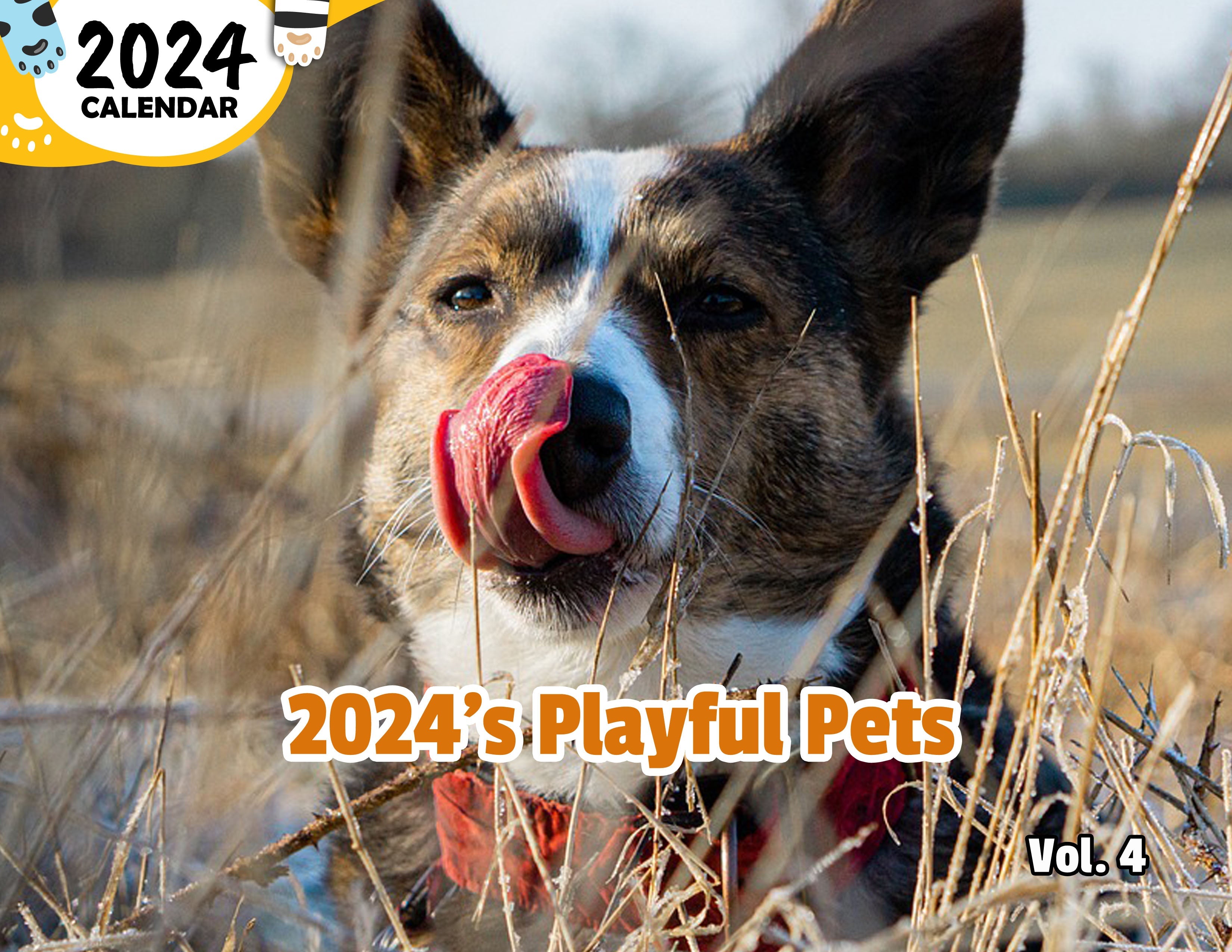 2024's Playful Pets Volume Four: 2024 Wall Calendar (Published)