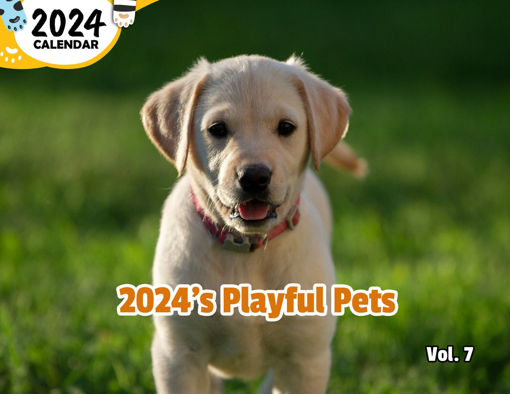 2024's Playful Pets Volume Seven: 2024 Wall Calendar (Published)