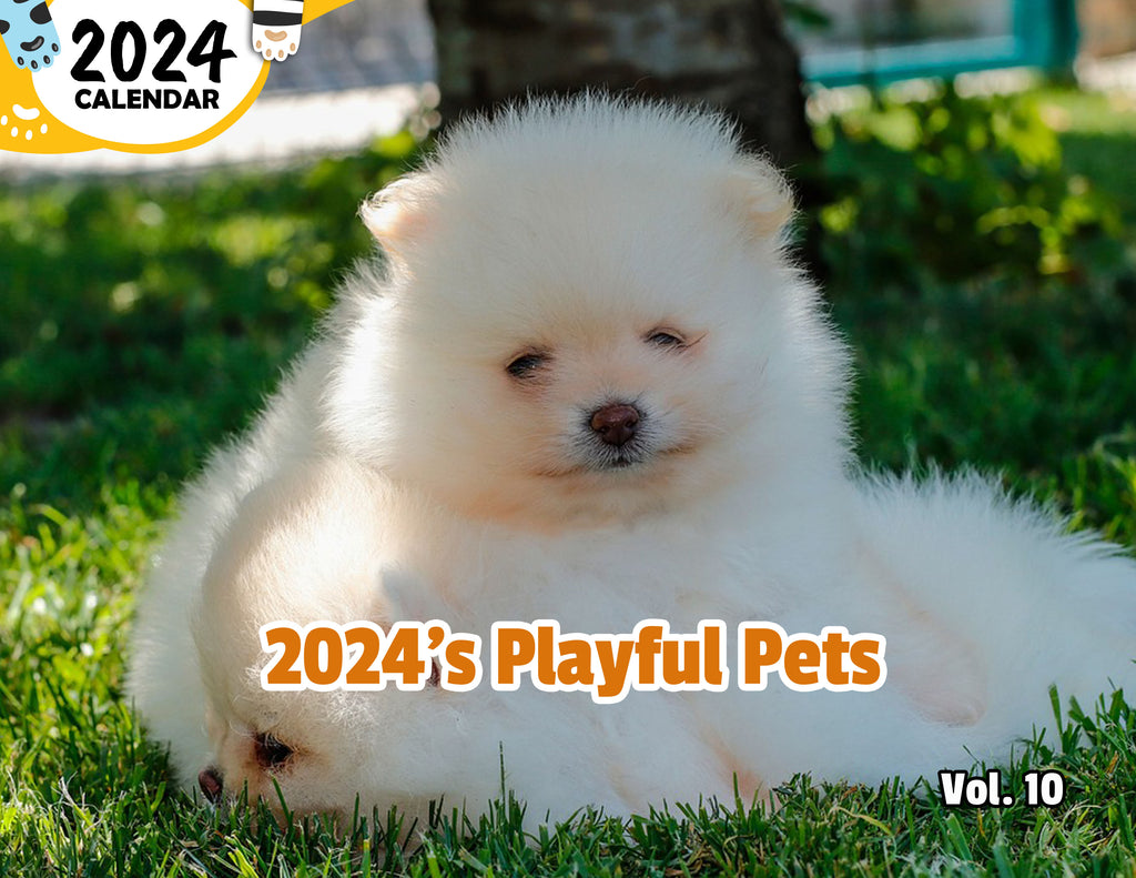2024's Playful Pets Volume Ten: 2024 Wall Calendar (Published)