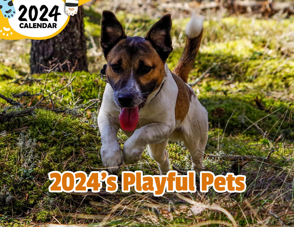 2024's Playful Pets: 2024 Wall Calendar (Published)