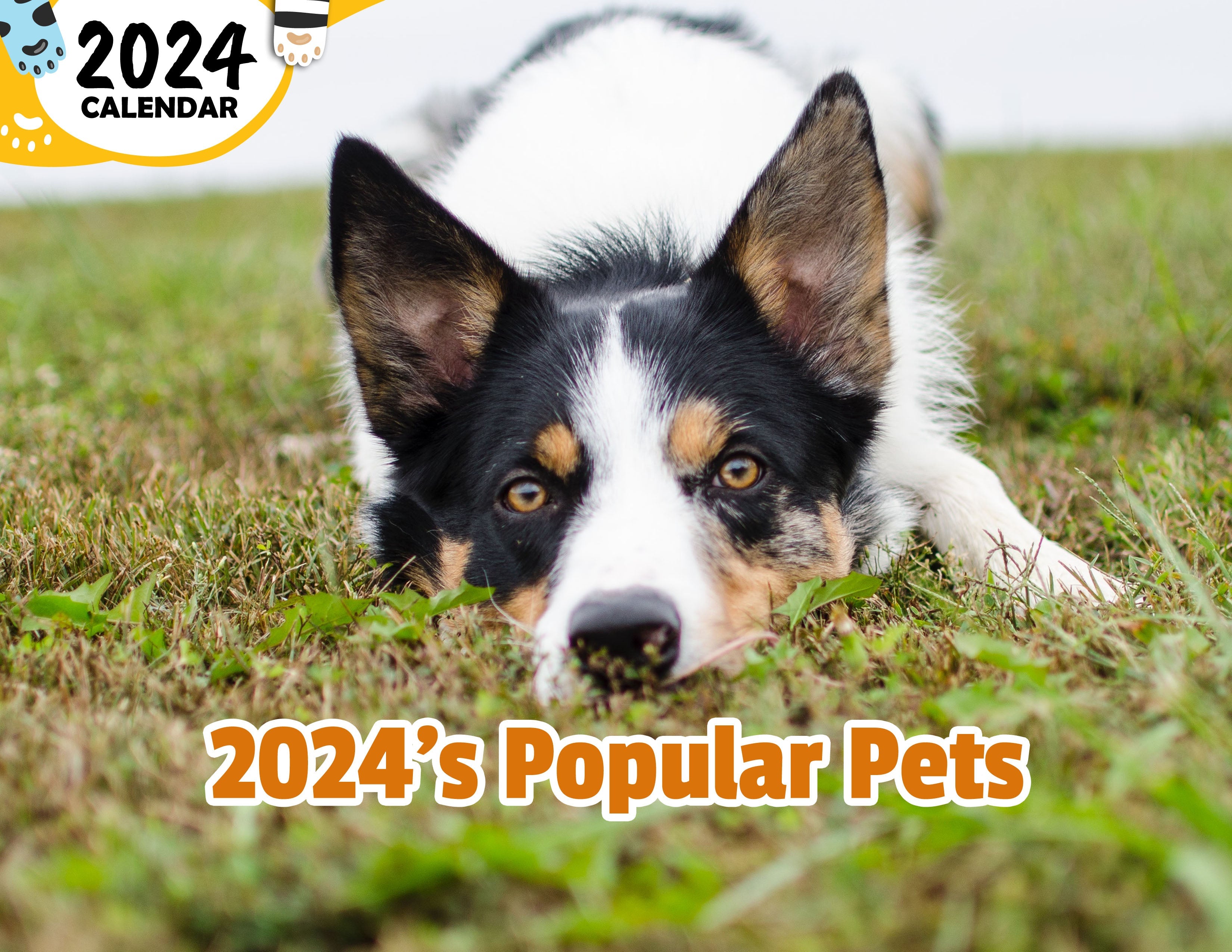 2024's Popular Pets: 2024 Wall Calendar (Published)