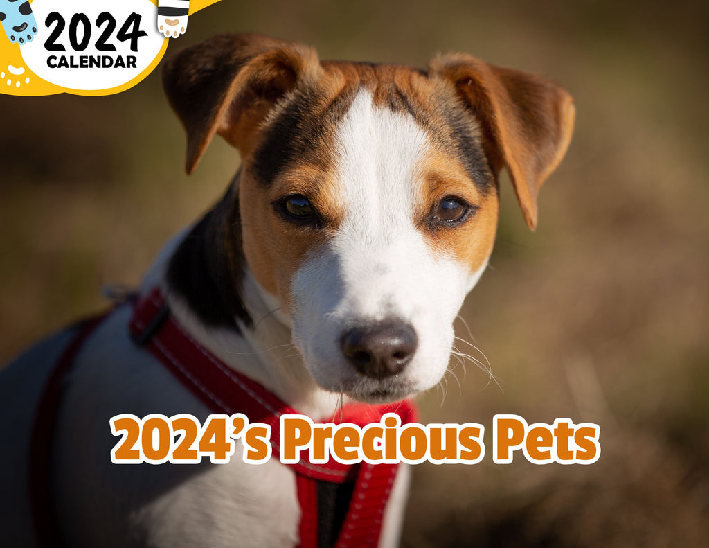 2024's Precious Pets: 2024 Wall Calendar (Published)