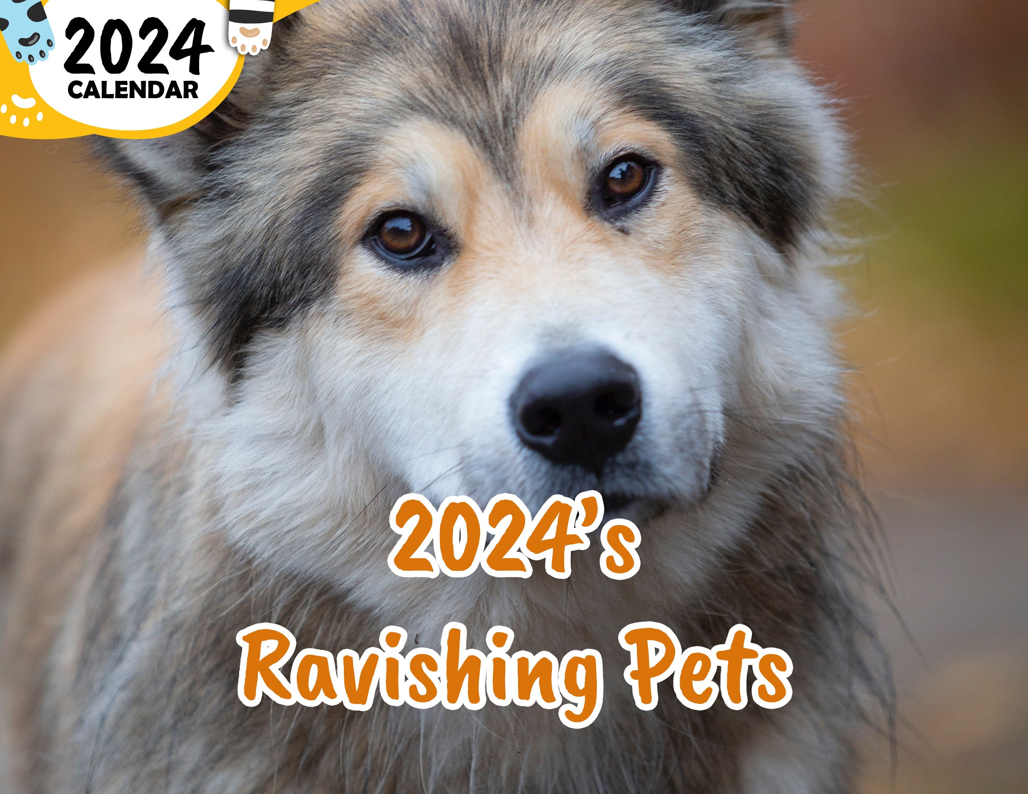 2024's Ravishing Pets: 2024 Wall Calendar (Published)