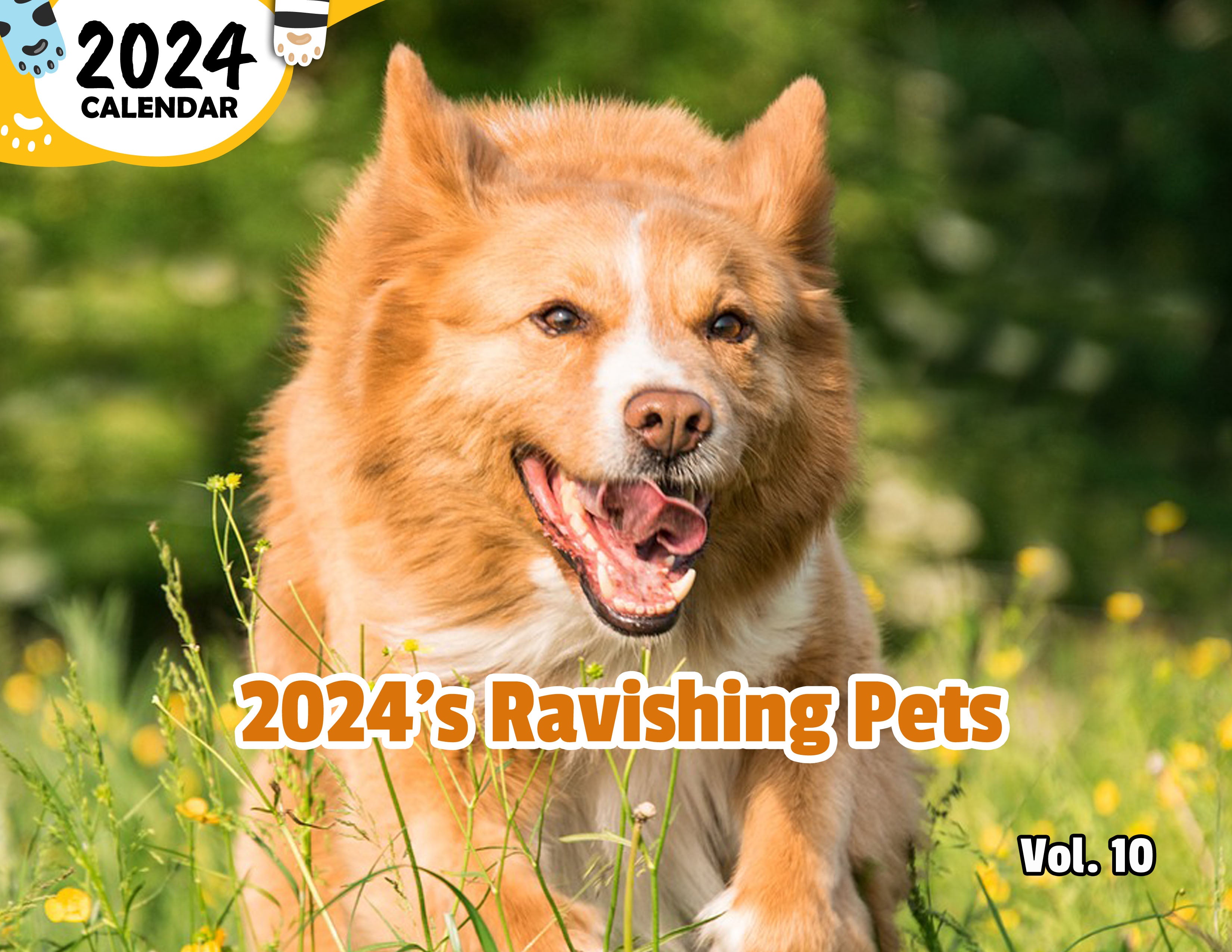 2024's Ravishing Pets Volume Ten: 2024 Wall Calendar (Published)