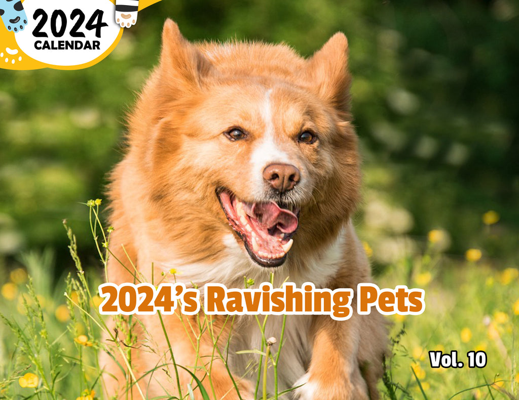 2024's Ravishing Pets Volume Ten: 2024 Wall Calendar (Published)