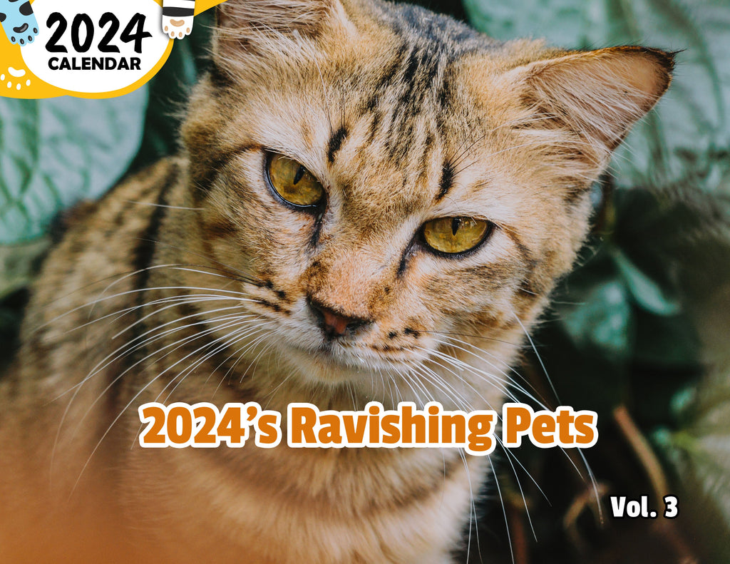 2024's Ravishing Pets Volume Three: 2024 Wall Calendar (Published)