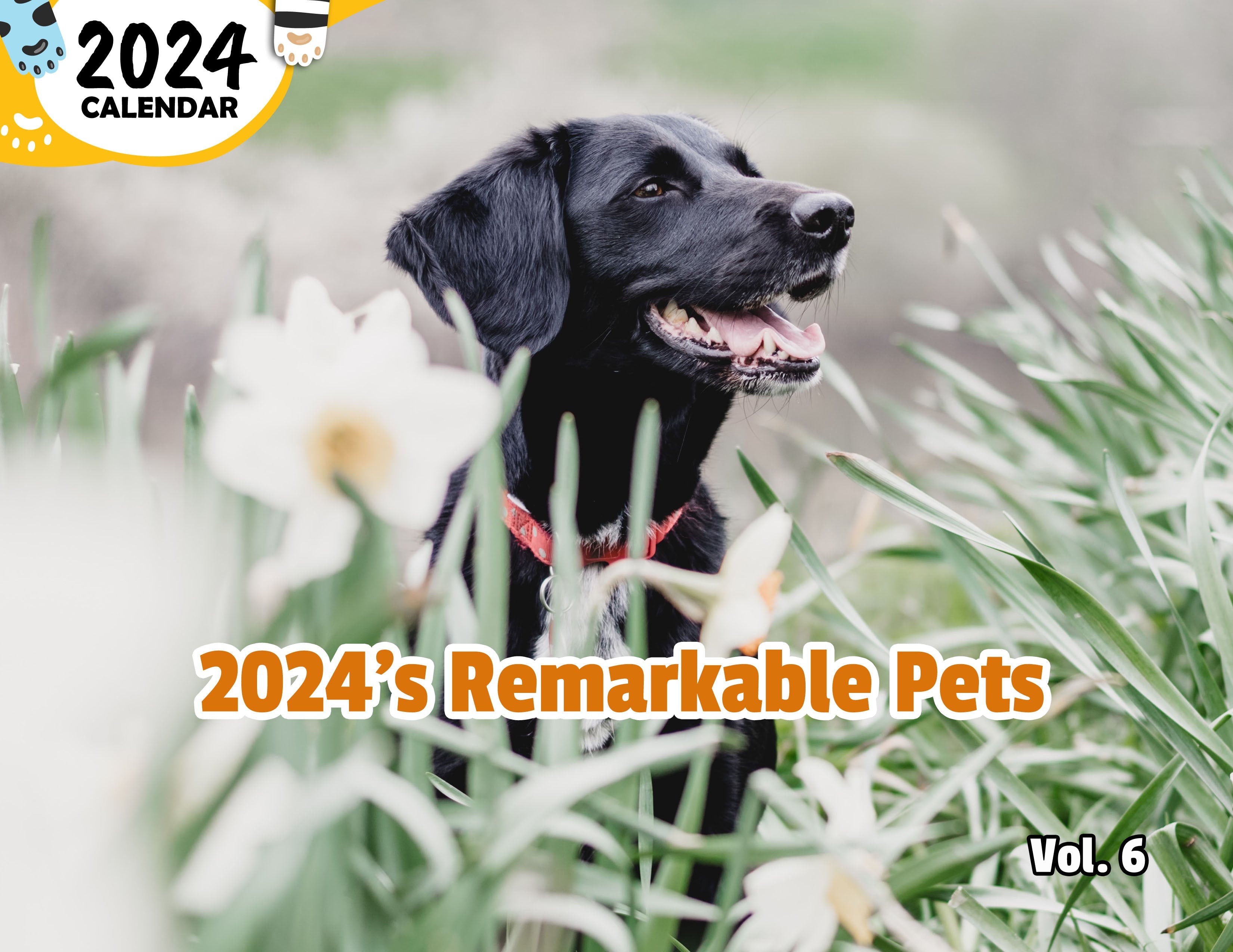 2024's Remarkable Pets Volume Six: 2024 Wall Calendar (Published)