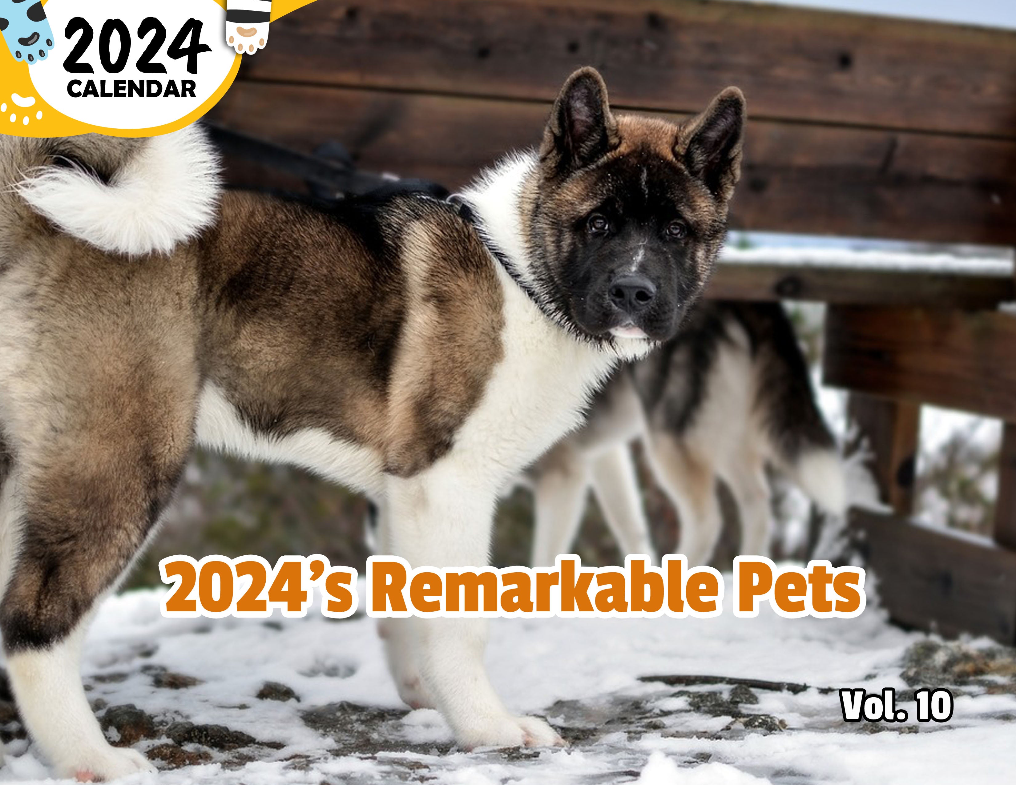2024's Remarkable Pets Volume Ten: 2024 Wall Calendar (Published)
