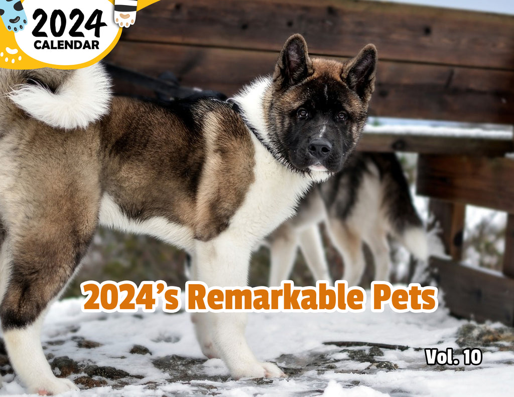 2024's Remarkable Pets Volume Ten: 2024 Wall Calendar (Published)
