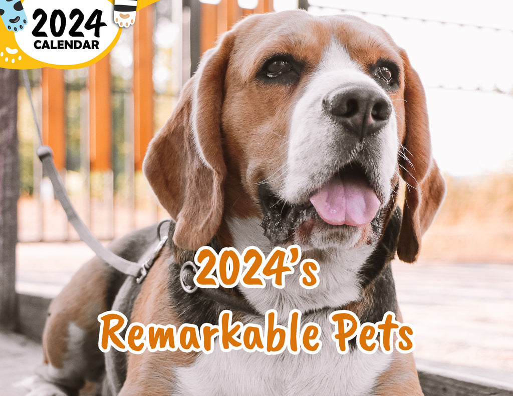 2024's Remarkable Pets: 2024 Wall Calendar (Published)