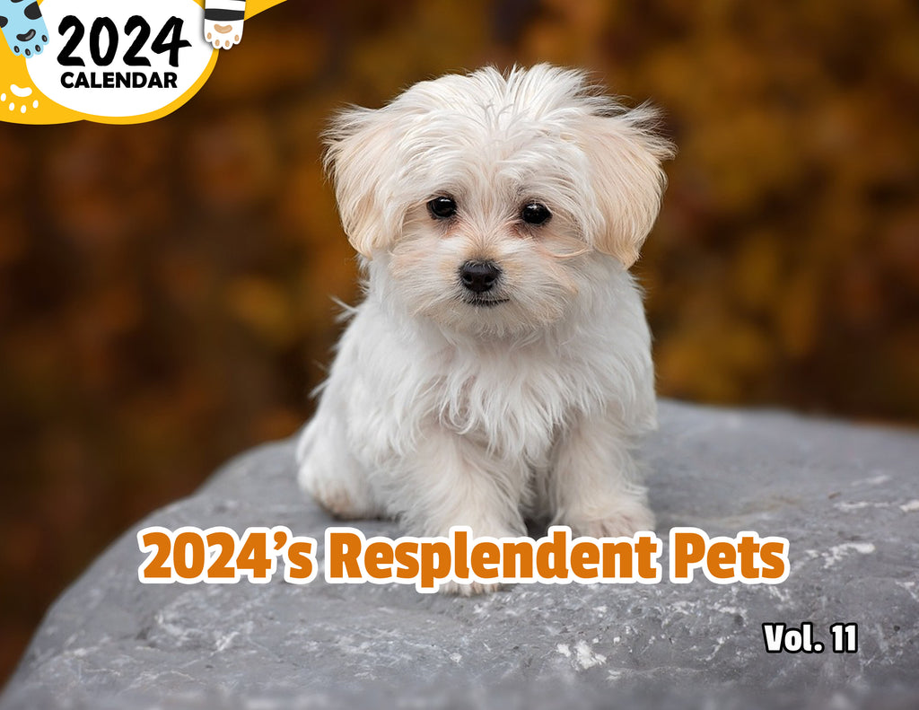 2024's Resplendent Pets Volume Eleven: 2024 Wall Calendar (Published)