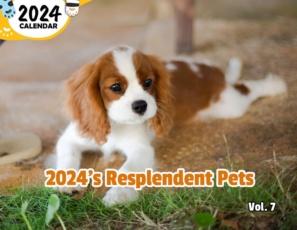 2024's Resplendent Pets Volume Seven: 2024 Wall Calendar (Published)