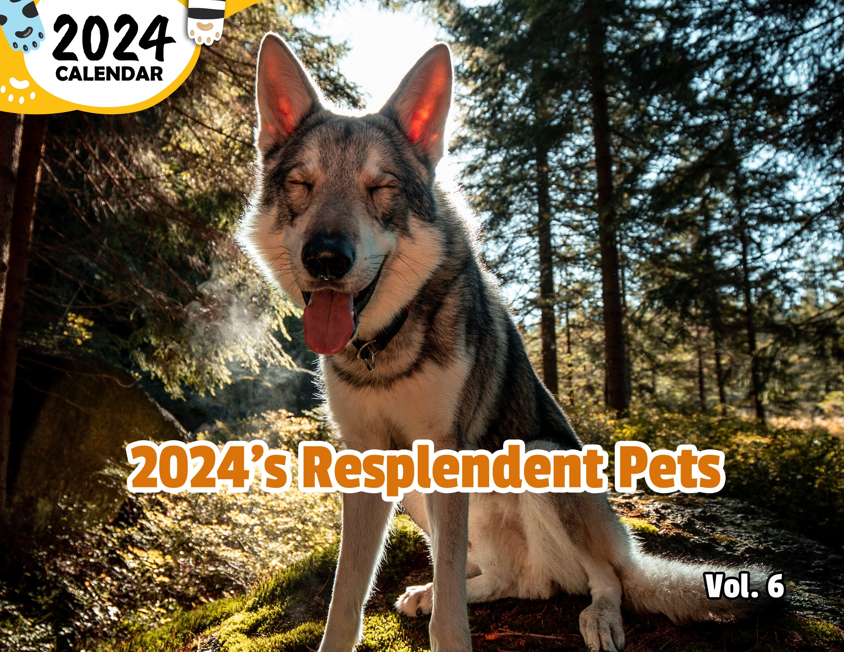 2024's Resplendent Pets Volume Six: 2024 Wall Calendar (Published)