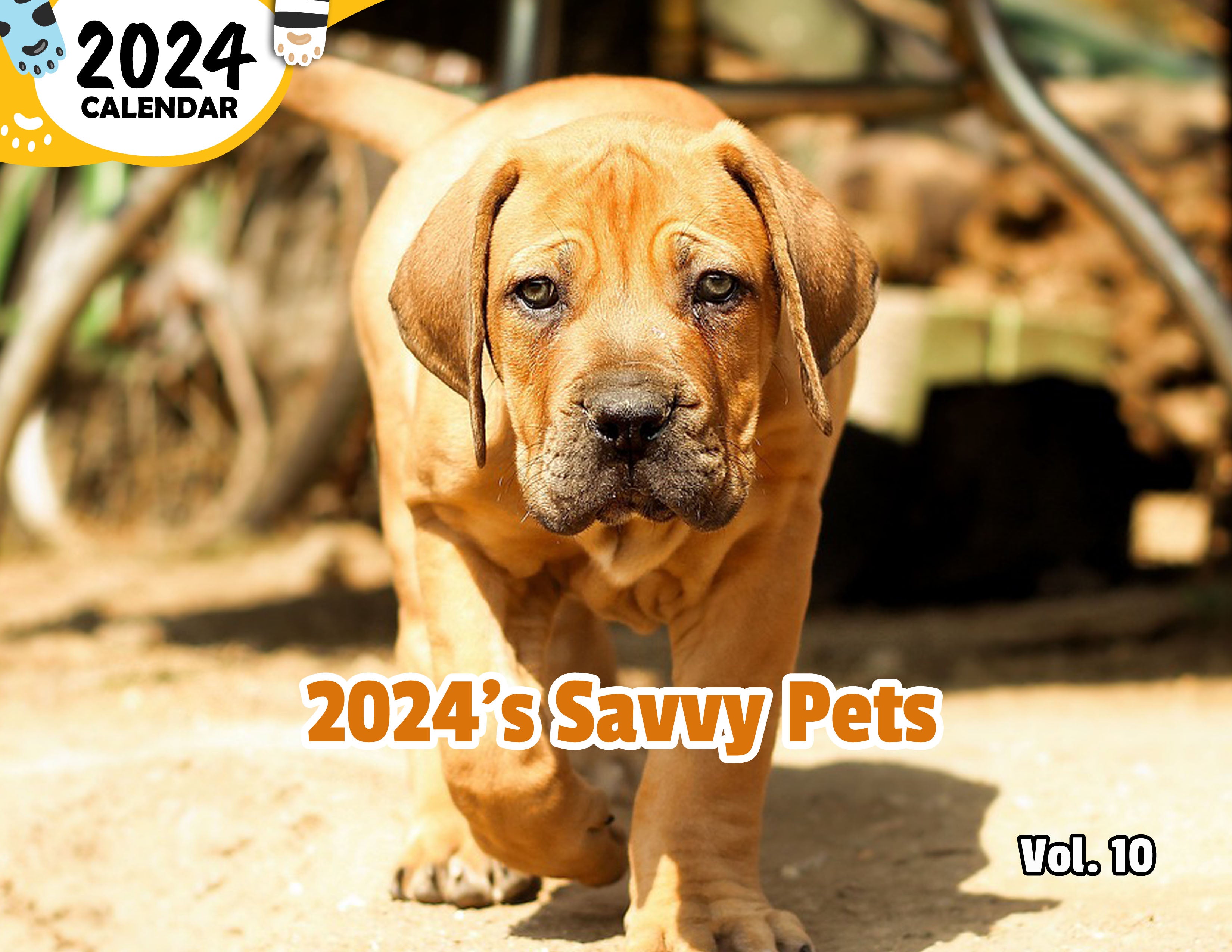 2024's Savvy Pets Volume Ten: 2024 Wall Calendar (Published)