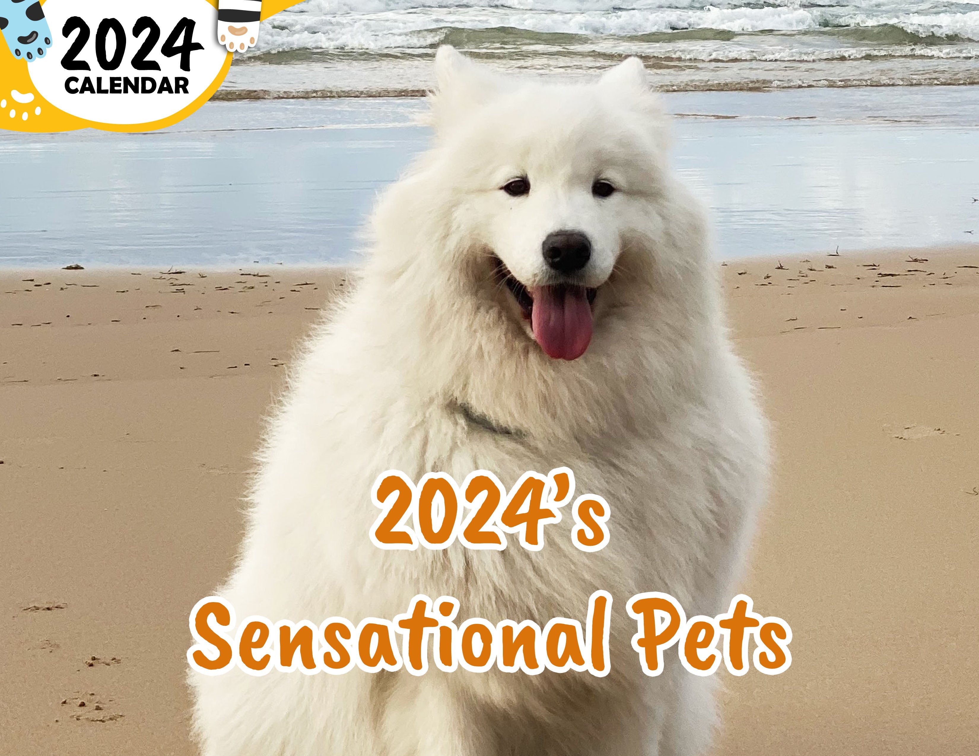 2024's Sensational Pets: 2024 Wall Calendar (Published)