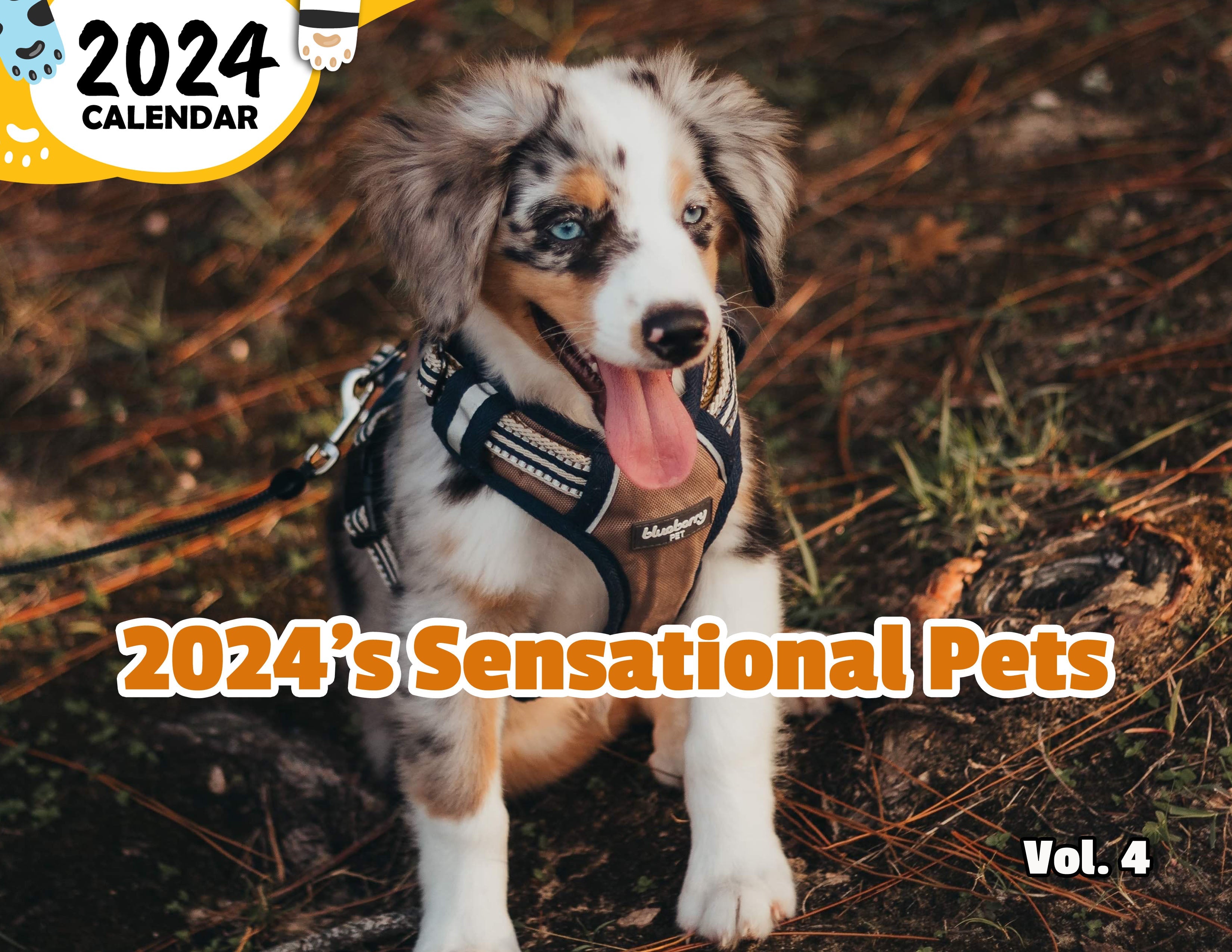 2024's Sensational Pets Volume Four: 2024 Wall Calendar (Published)
