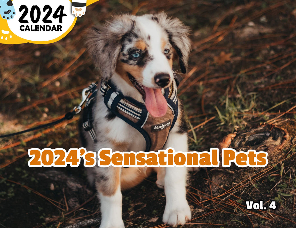 2024's Sensational Pets Volume Four: 2024 Wall Calendar (Published)