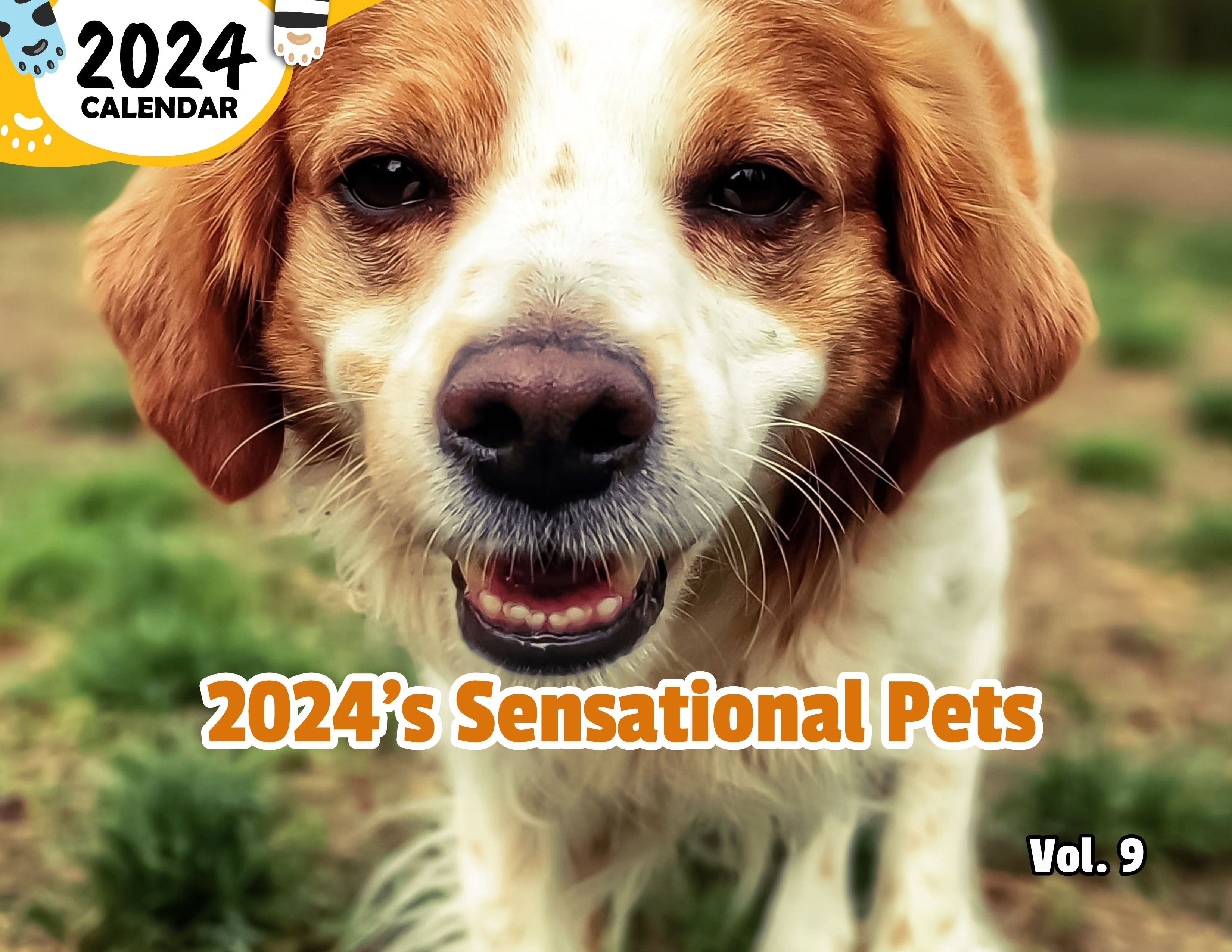 2024's Sensational Pets Volume Nine: 2024 Wall Calendar (Published)