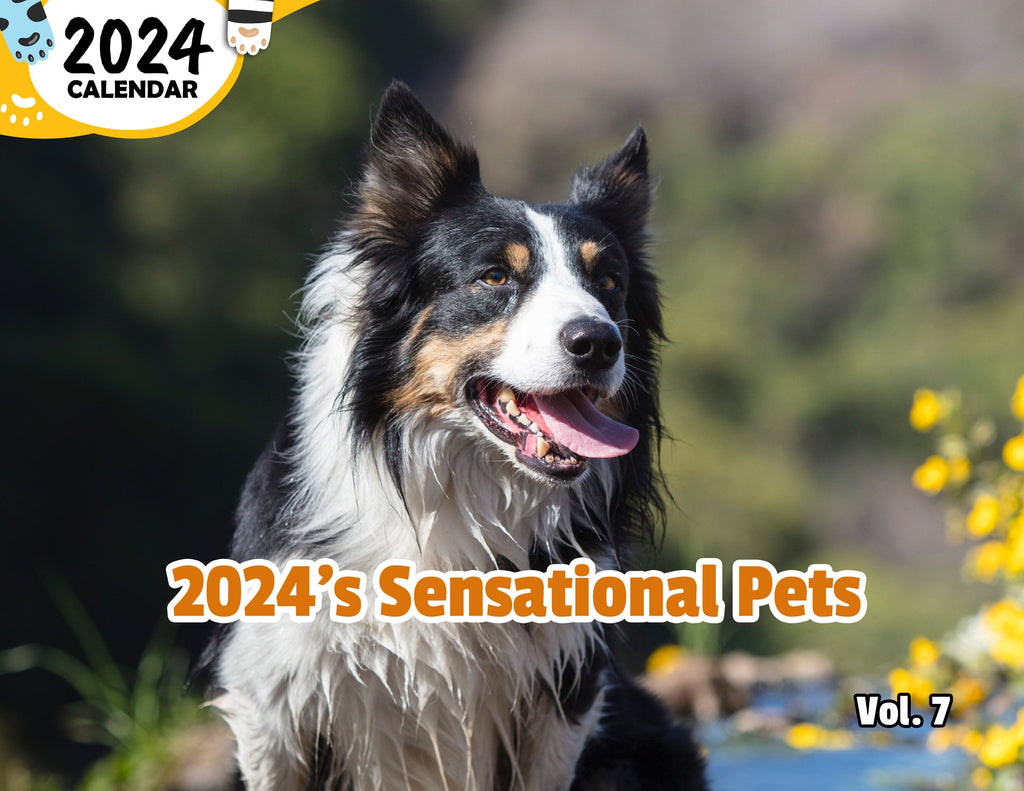 2024's Sensational Pets Volume Seven: 2024 Wall Calendar (Published)