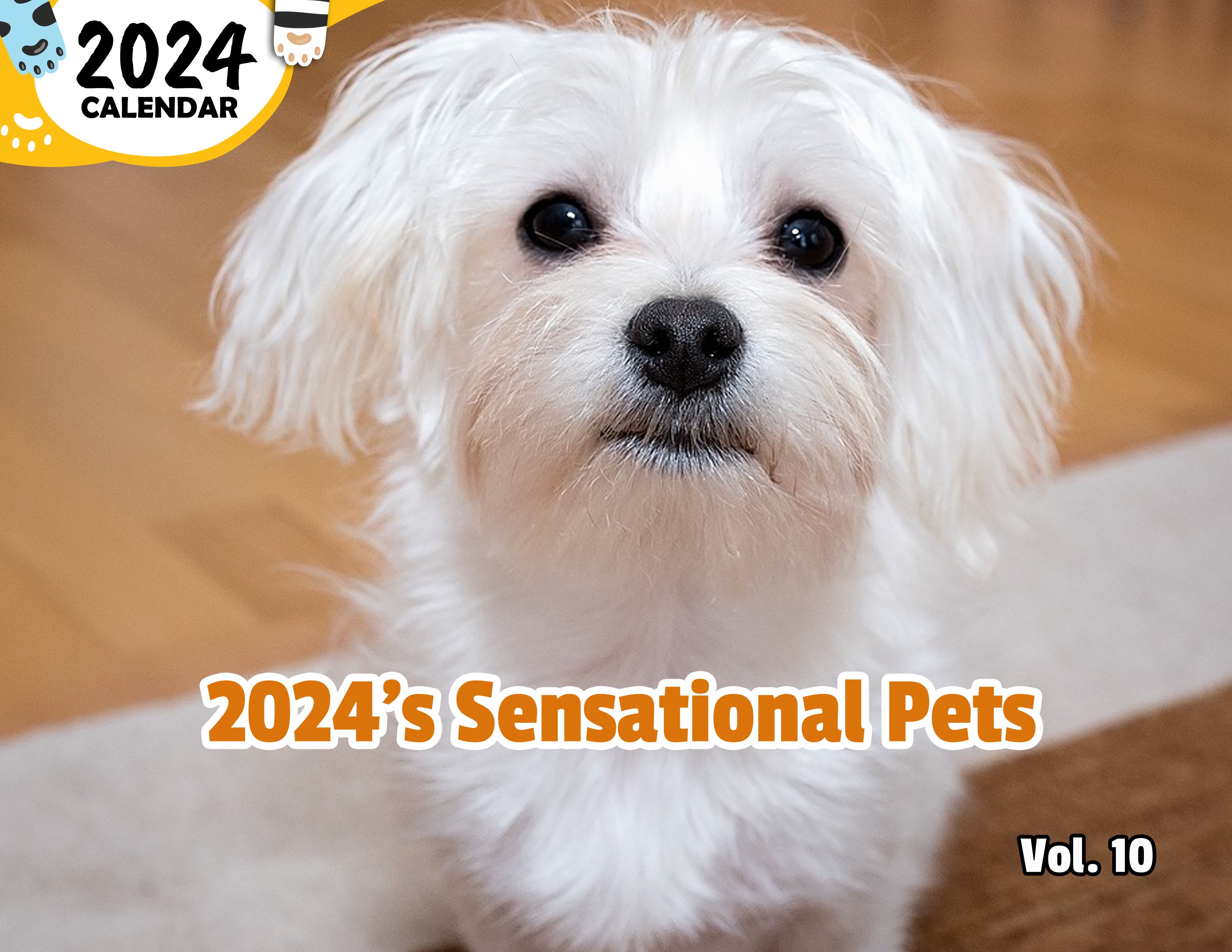 2024's Sensational Pets Volume Ten: 2024 Wall Calendar (Published)