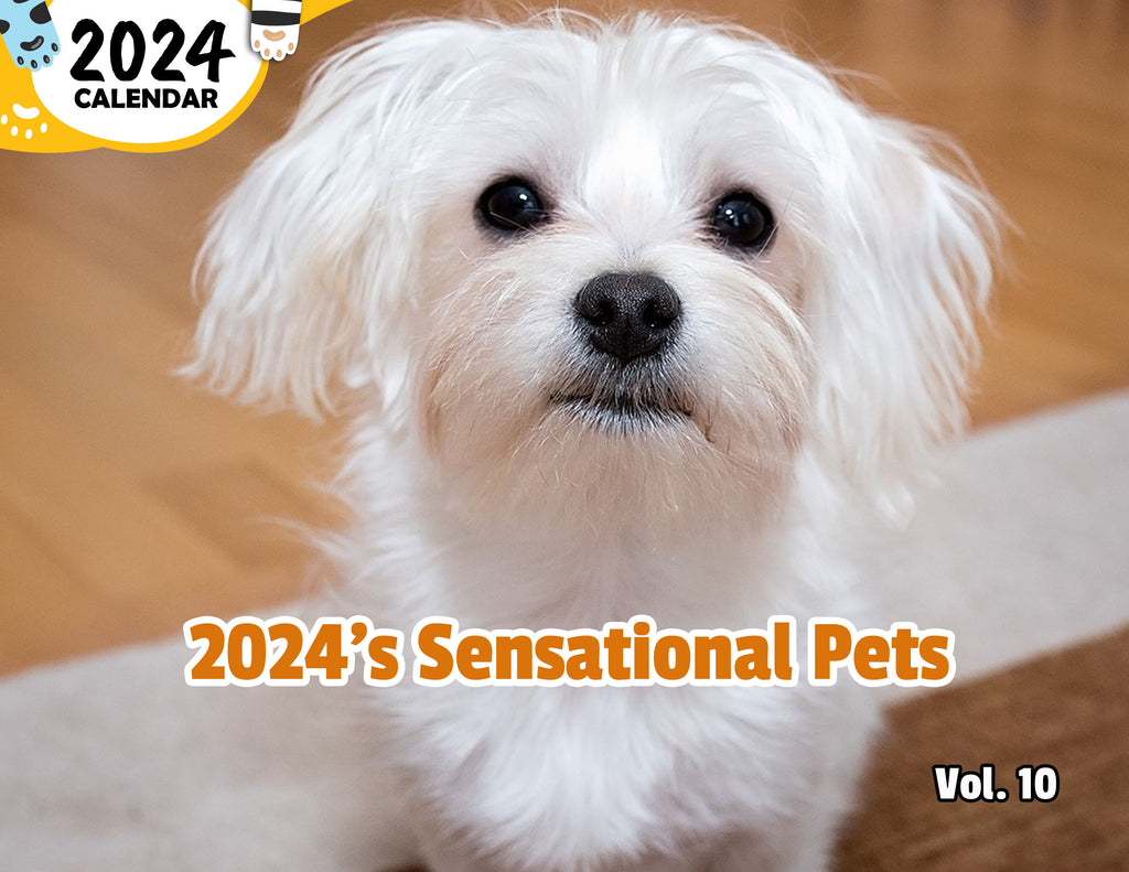2024's Sensational Pets Volume Ten: 2024 Wall Calendar (Published)