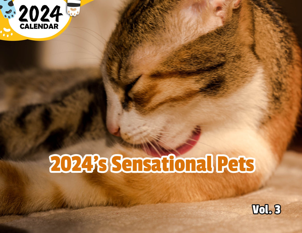 2024's Sensational Pets Volume Three: 2024 Wall Calendar (Published)