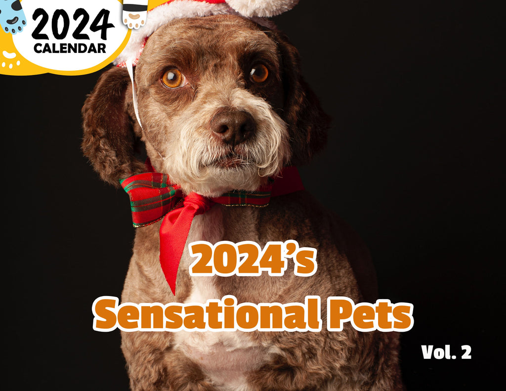2024's Sensational Pets Volume Two: 2024 Wall Calendar (Published)