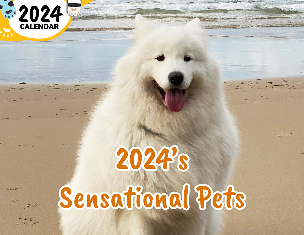 2024's Sensational Pets: 2024 Wall Calendar (Published)
